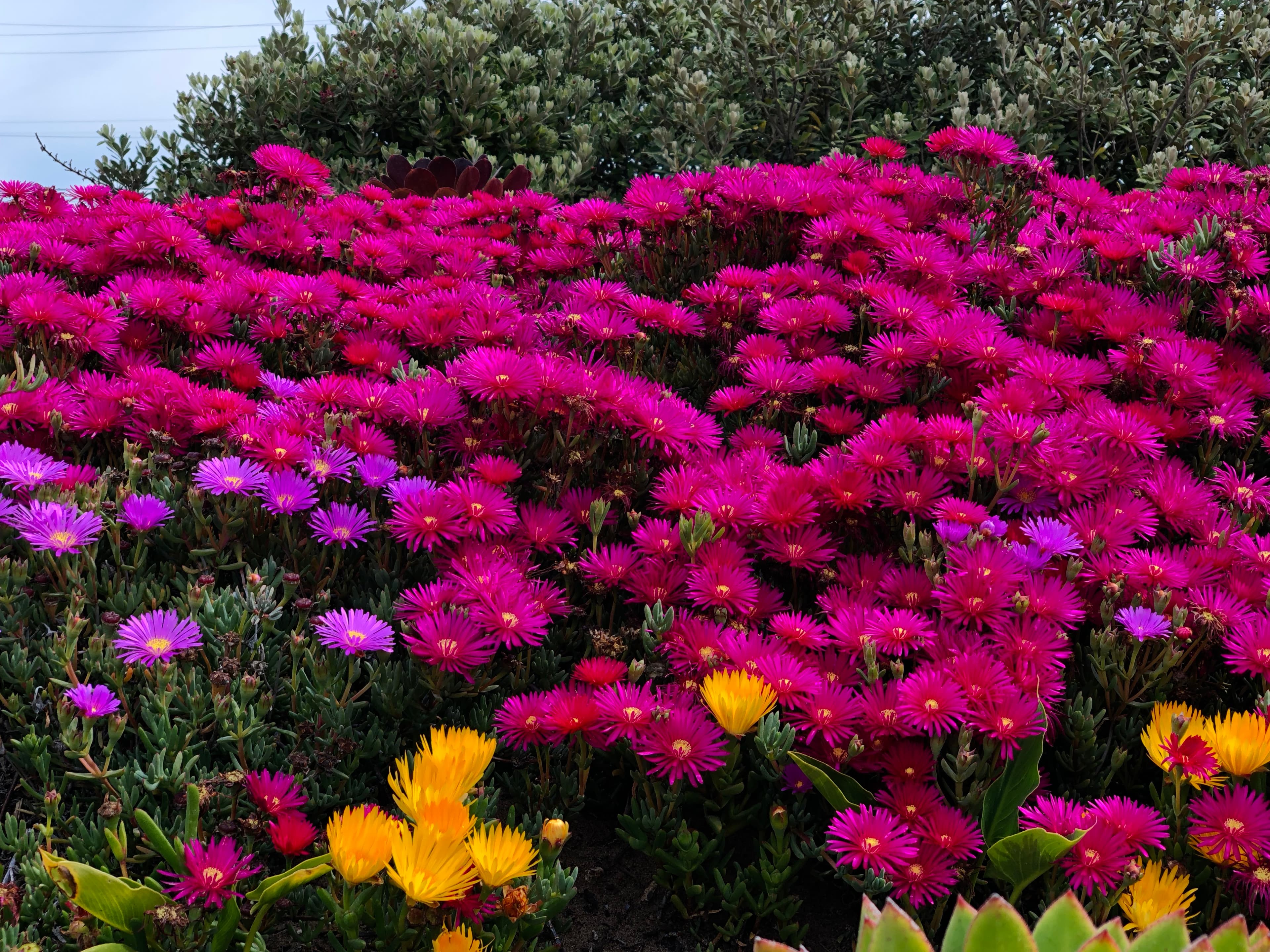 Test 2